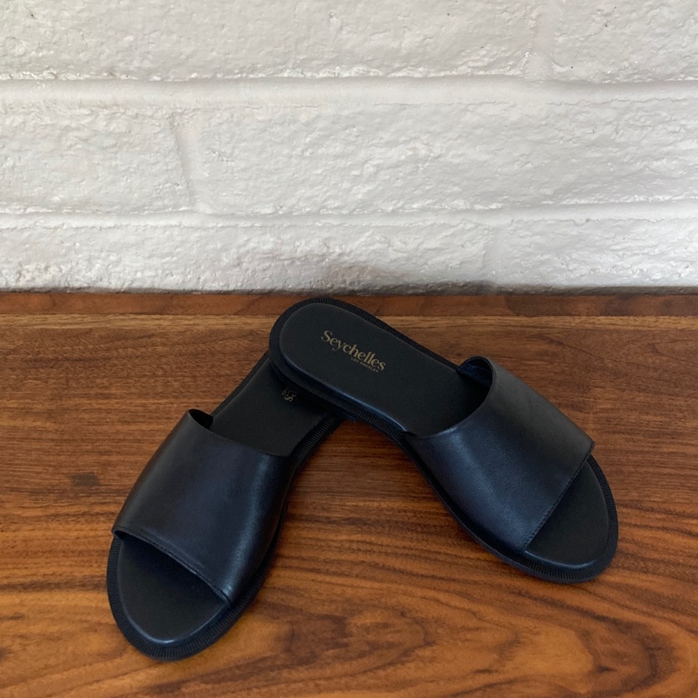 Unworn NWOT Seychelles Leather Slide Sandals